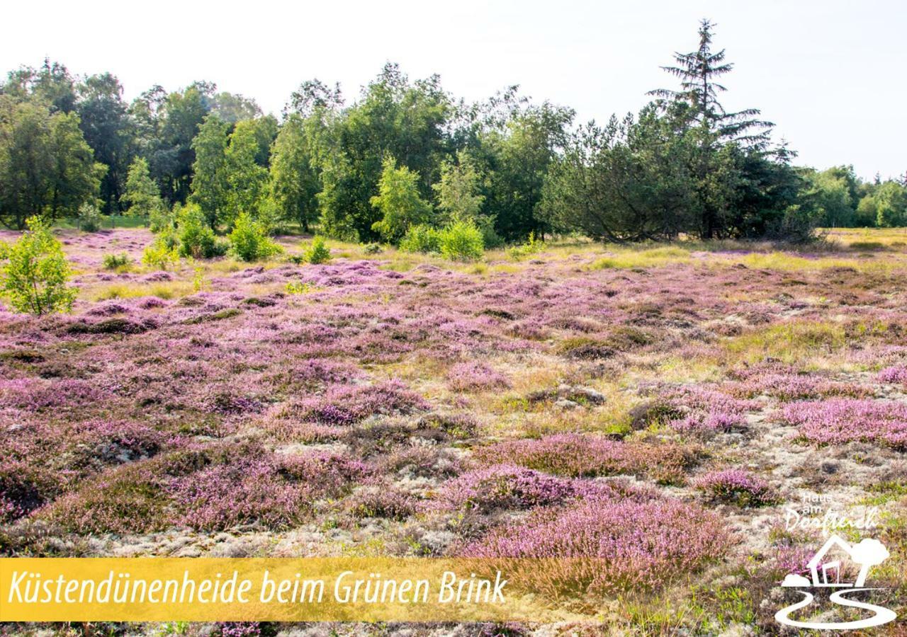 דירות Dänschendorf Haus Am Dorfteich Fehmarn מראה חיצוני תמונה